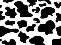 Cow Print Wallpaper 4