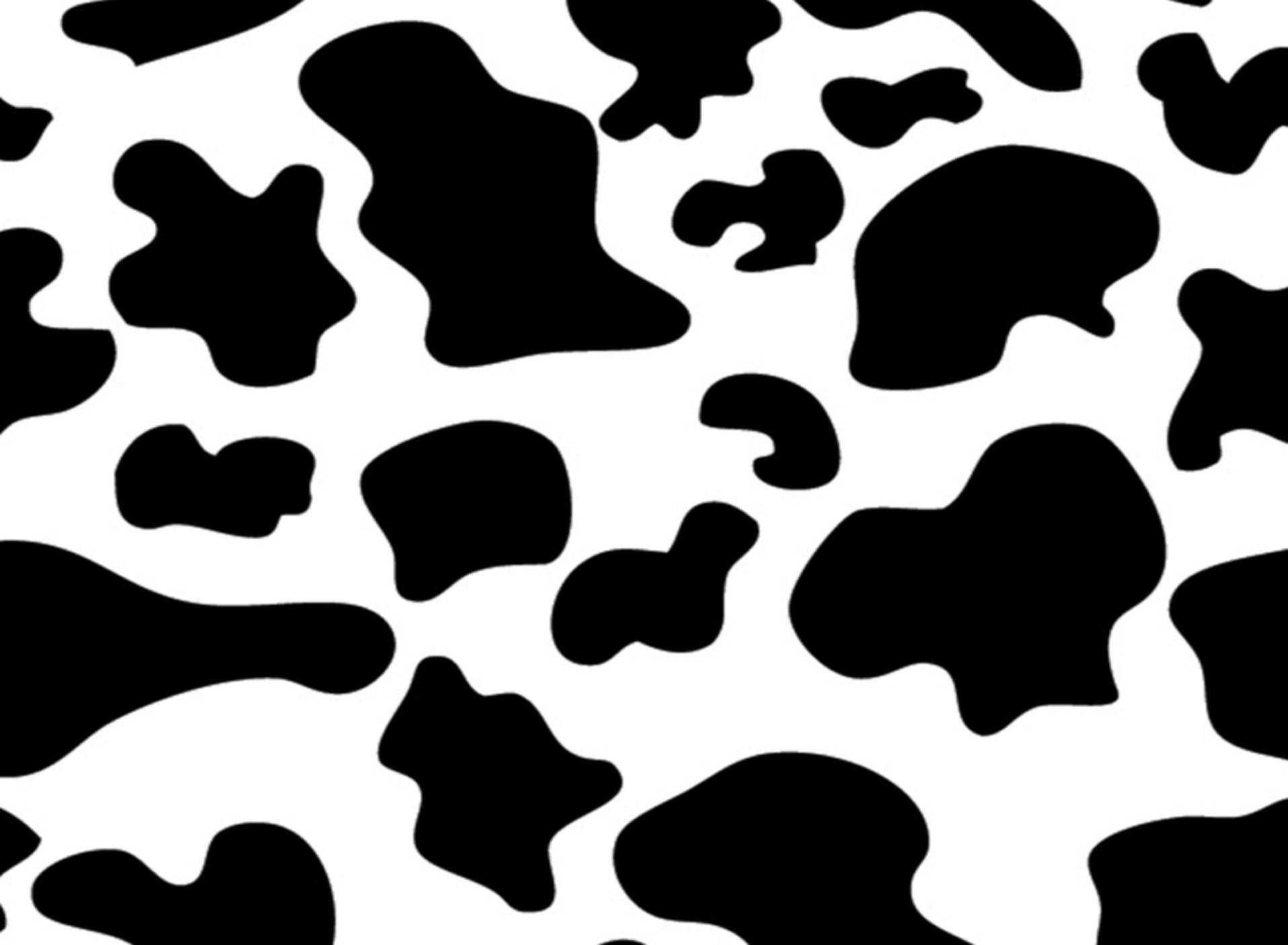 Cow Print Wallpaper 1 Cow Print Wallpaper 1