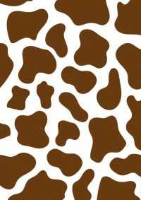 Cow Print Wallpaper 6