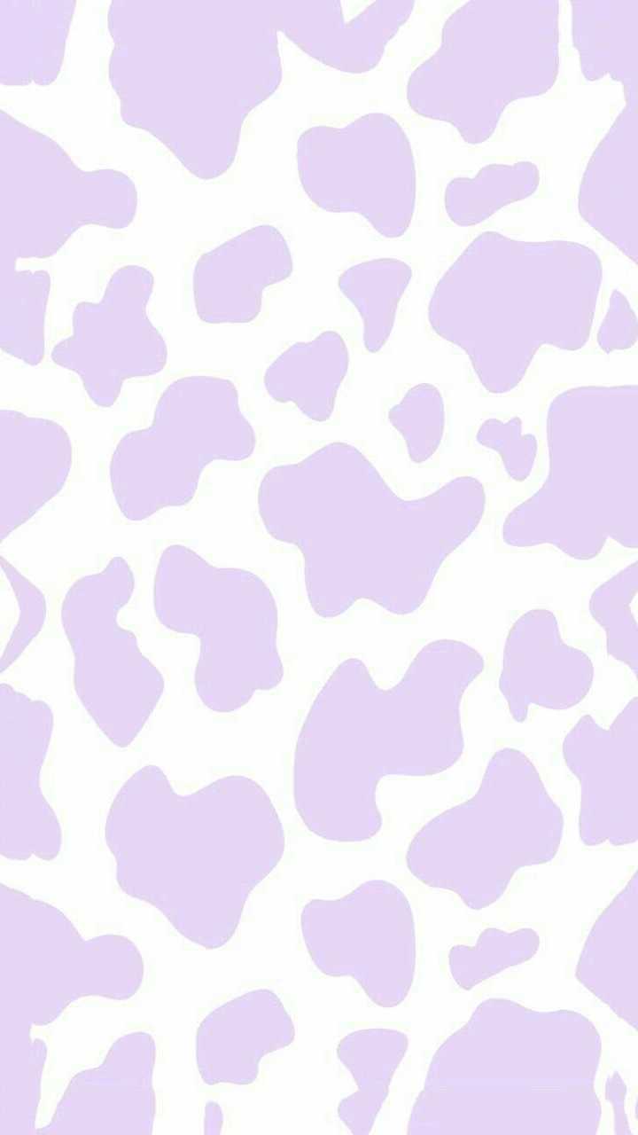 Cow Print Wallpaper 1 Cow Print Wallpaper 1