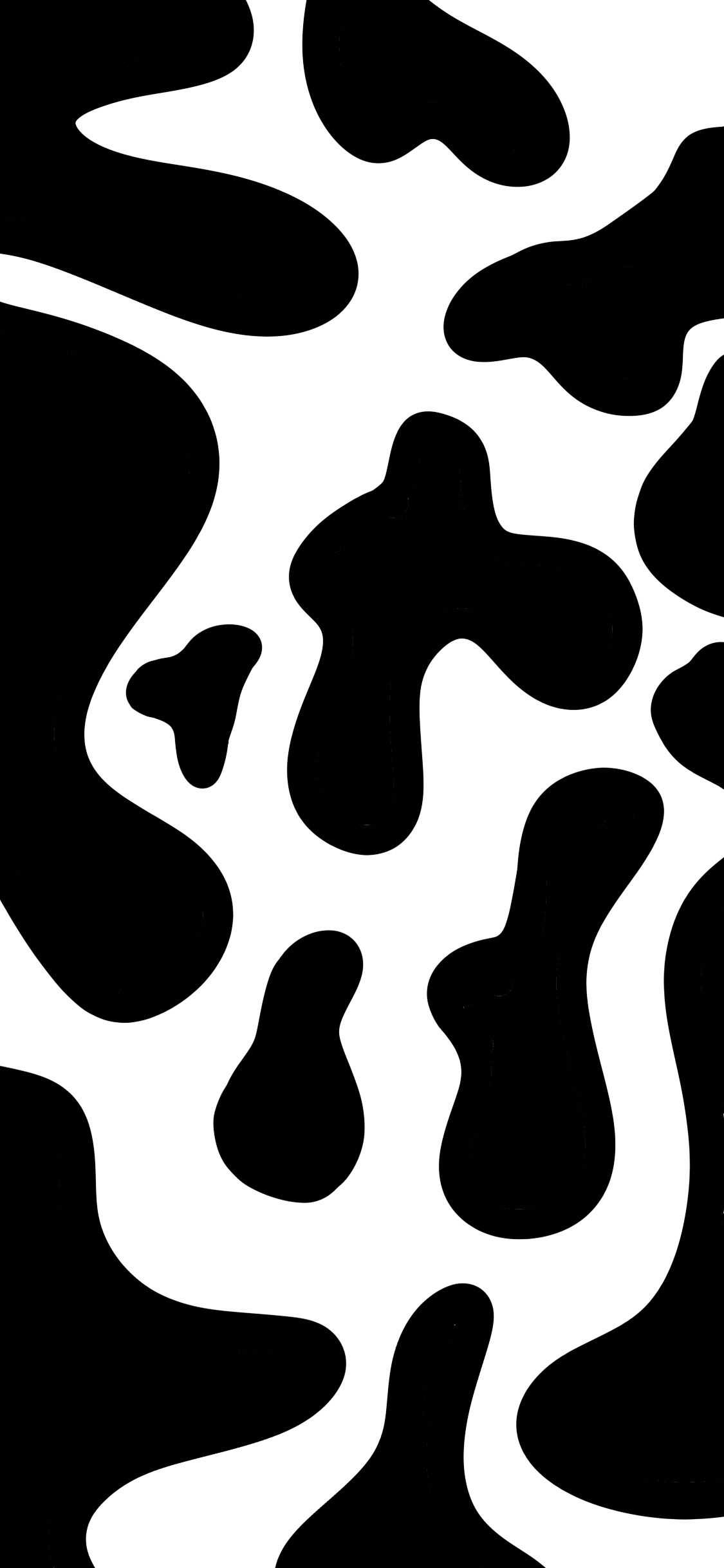 Cow Print Wallpaper  Download Free HD Cow Print Wallpaper
