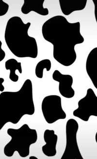 Cow Print Wallpapers 8