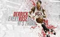 Derrick Rose Bulls Wallpaper 1