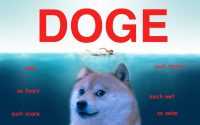 Doge Background 4