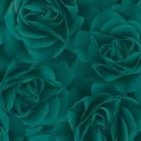 Emerald Green Rose Wallpaper 8