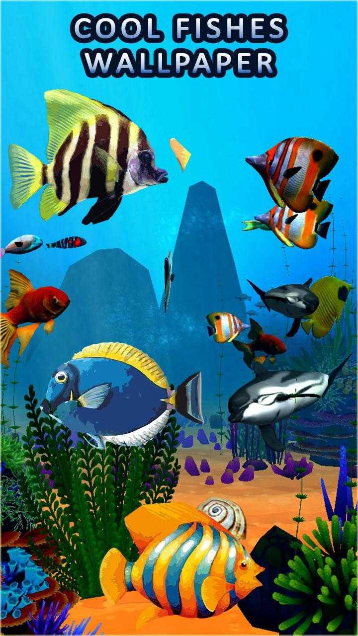Fish iPhone Wallpaper 1
