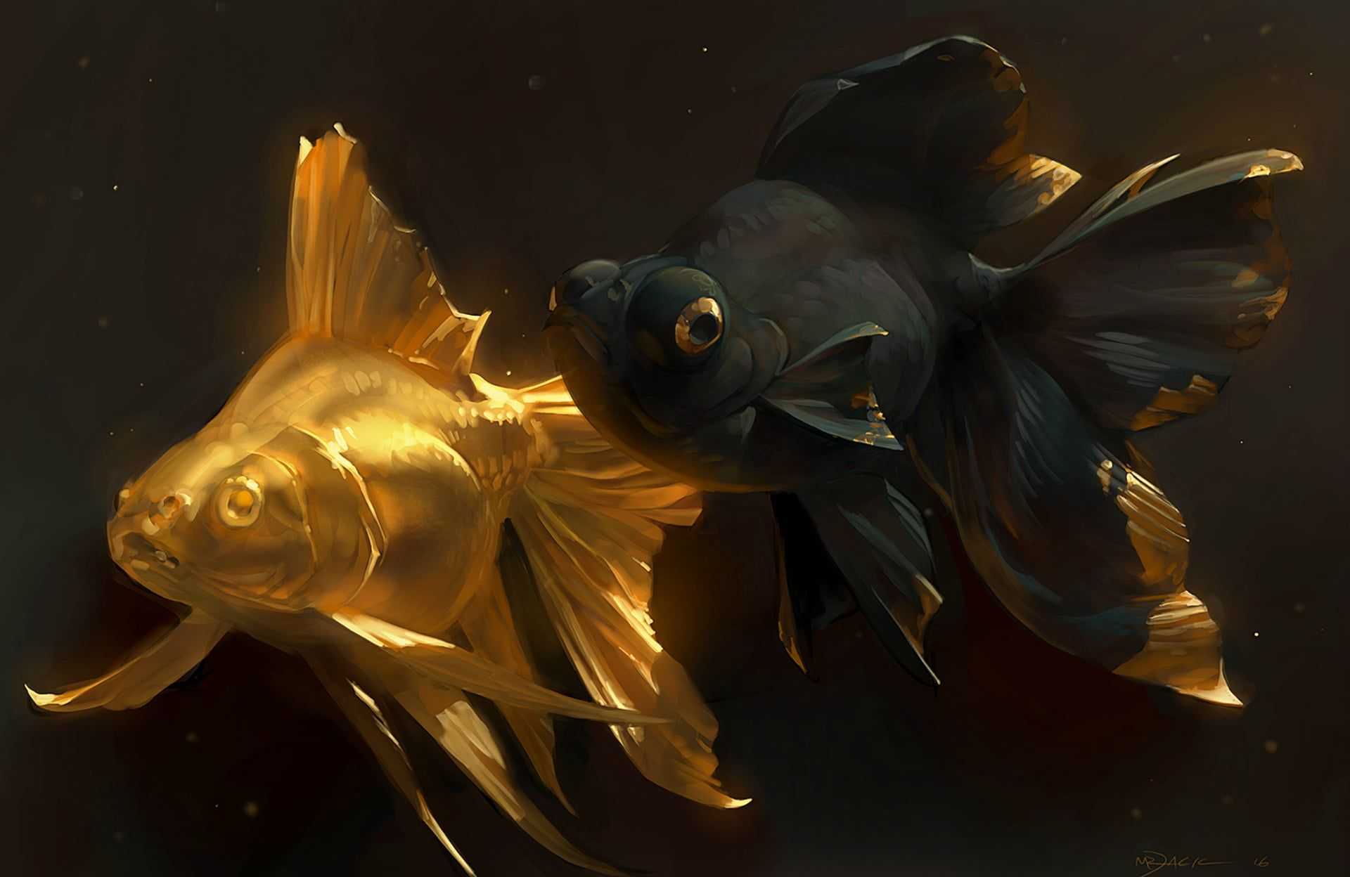 Goldfish Wallpaper 1