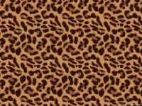 Leopard Print Background 3