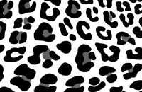 Leopard Print Wallpaper 6
