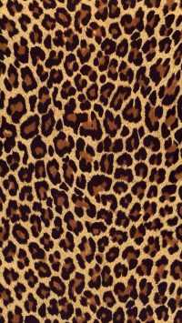 Leopard Print Wallpaper iPhone 3