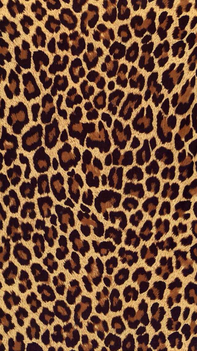 Leopard Print Wallpaper iPhone 1