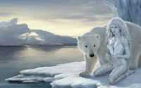 Polar Bear Wallpaper 1
