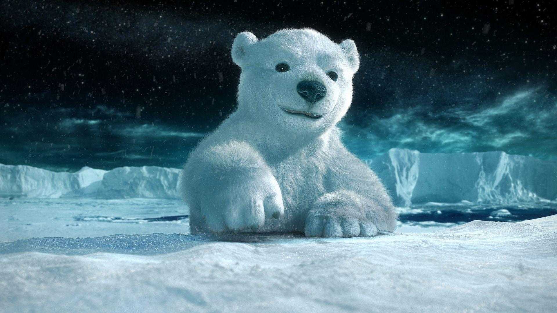 Polar Bear Wallpaper 1