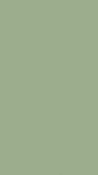 Sage Green Wallpaper iPhone 5