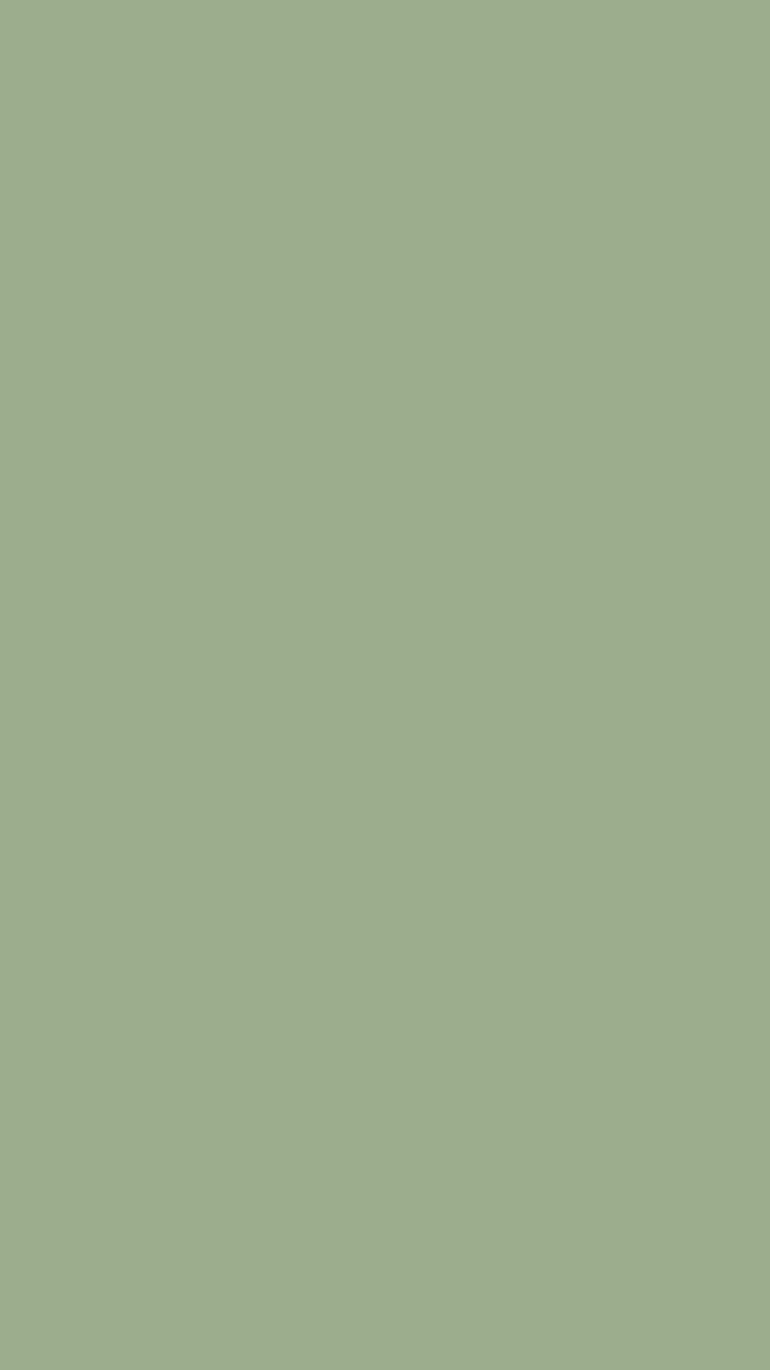 Sage Green Wallpaper iPhone 1