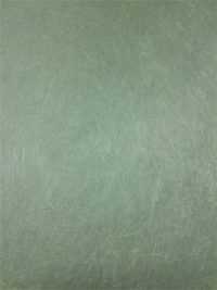 Sage Green Wallpapers 3