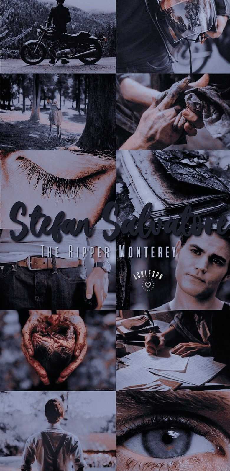 Stefan Salvatore Vampire Diaries Wallpaper 1