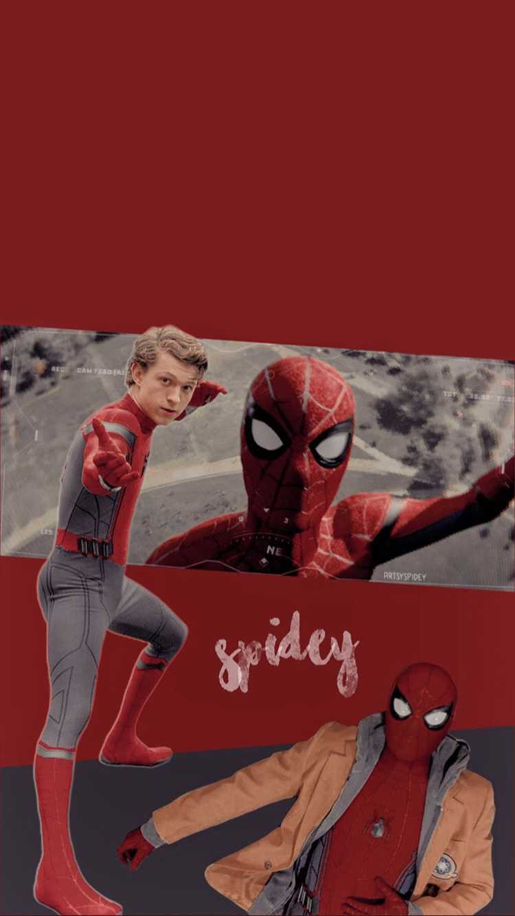 Tom Holland Wallpapers 1