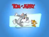 Tom Jerry Wallpapers 8
