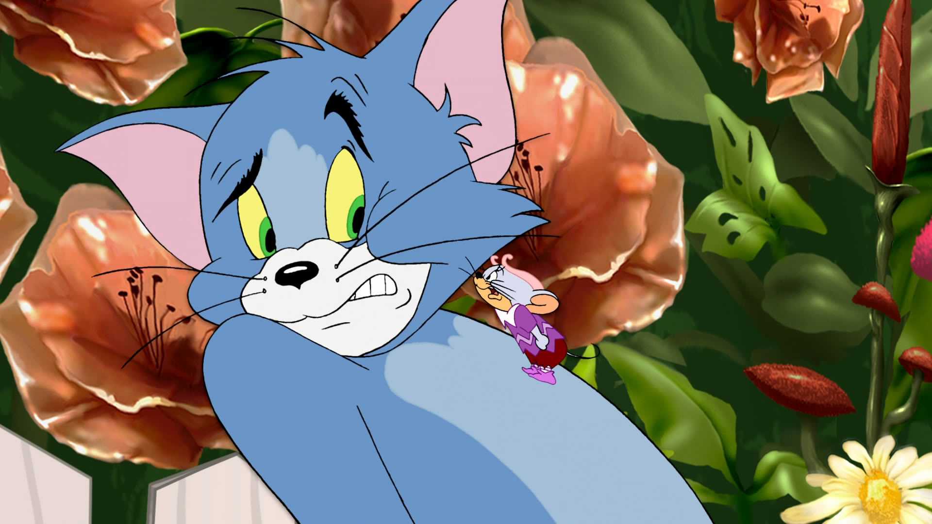 Tom and Jerry Wallpaper HD 1
