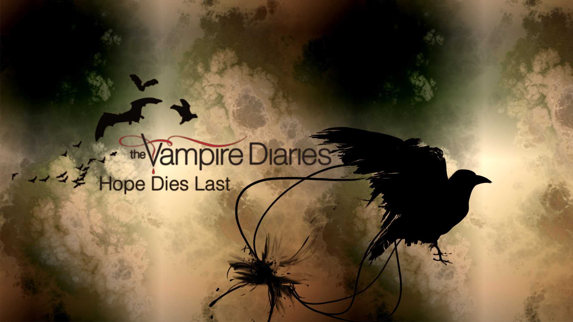 Vampire Diaries Background 1