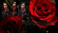 Vampire Diaries Wallpapers 5