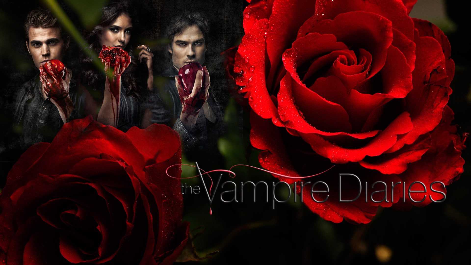 Vampire Diaries Wallpapers 1