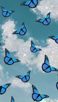 Blue Butterfly Wallpaper 10