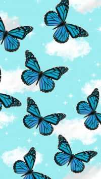 Blue Butterfly Wallpaper 1
