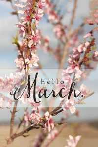 iPhone Hello March Wallpaper 6