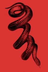 Snake Wallpaper 10
