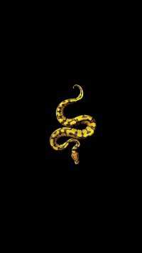 Snake Wallpaper 5