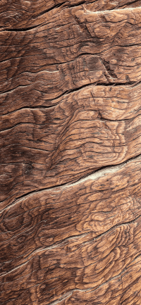 Wood Wallpaper 9