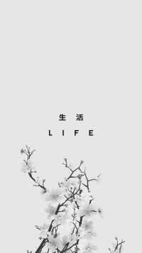 Aesthetic Life Wallpaper 10