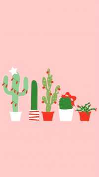 Cactus Wallpaper 9