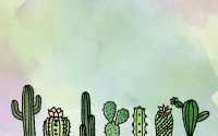 Cactus Wallpaper PC 2