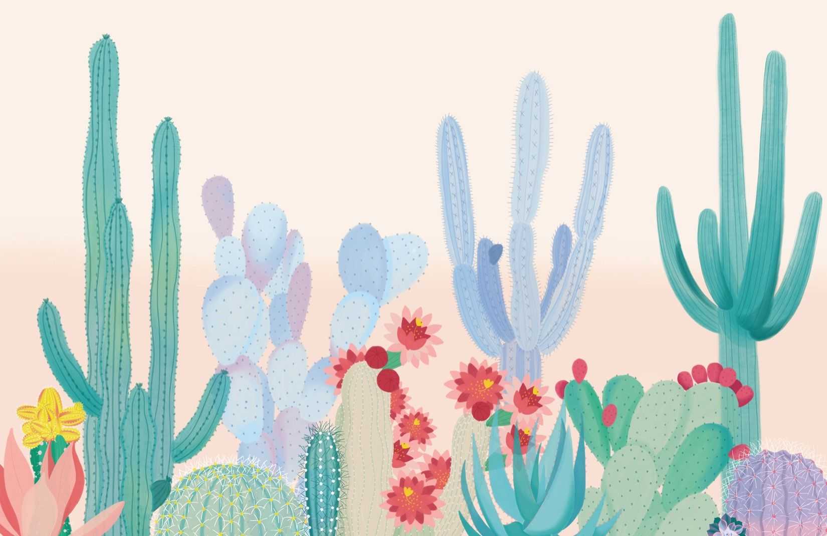 Cactus Wallpapers 1