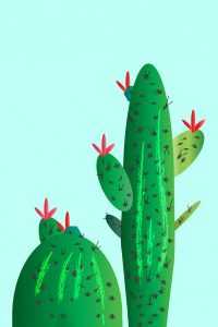 Cactus iPhone Wallpaper 1
