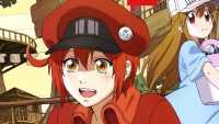 Cells At Work Wallpapers 6