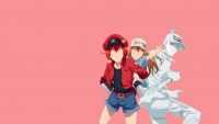 Cells At Work Wallpapers 2