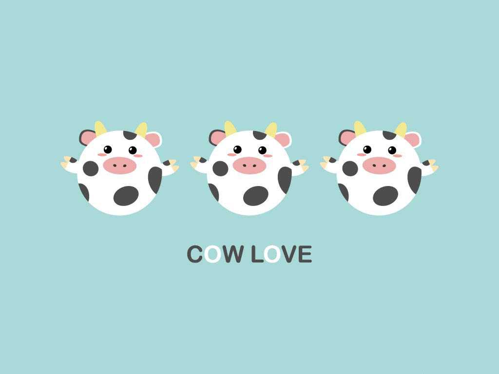 Cow Love Wallpaper 1 Cow Love Wallpaper 1