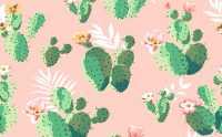 Cute Cactus Wallpaper 10