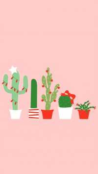 Cute Cactus Wallpaper 3