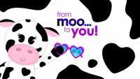 Cute Cow Wallpapers 4