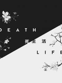 Death and Life Wallpaper 8