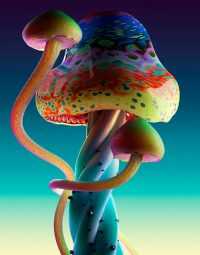 Mushroom Background 8