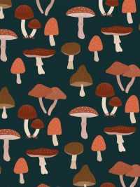 Mushroom Wallpaper 4