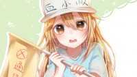 Platelet Wallpapers 3
