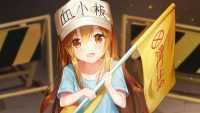 Platelet Wallpapers 1