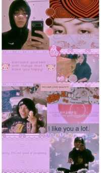 Quackity Wallpaper 8